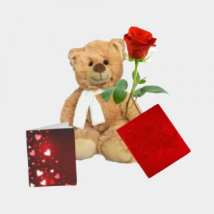 single-roses-with-teddy-bear